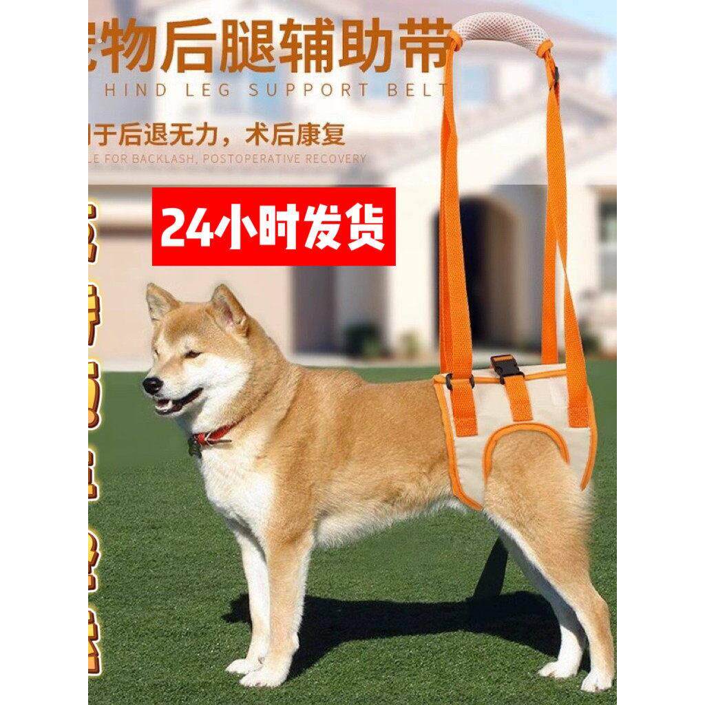 宠物狗狗后腿辅助带老年犬后肢残疾瘫痪助走路行走神器手提牵引绳
