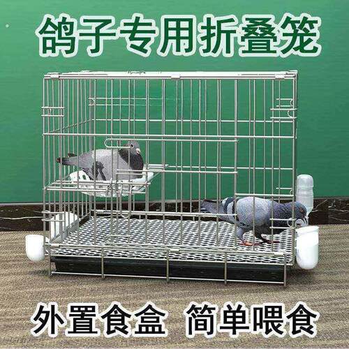 鸽子笼养鸽子专用笼养殖笼家用繁殖笼配对笼大号新型鸽舍鸽子笼子