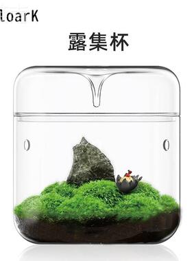 Bioloark露集杯苔藓瓶微景观集露杯花卉绿植盆景集露瓶生态瓶