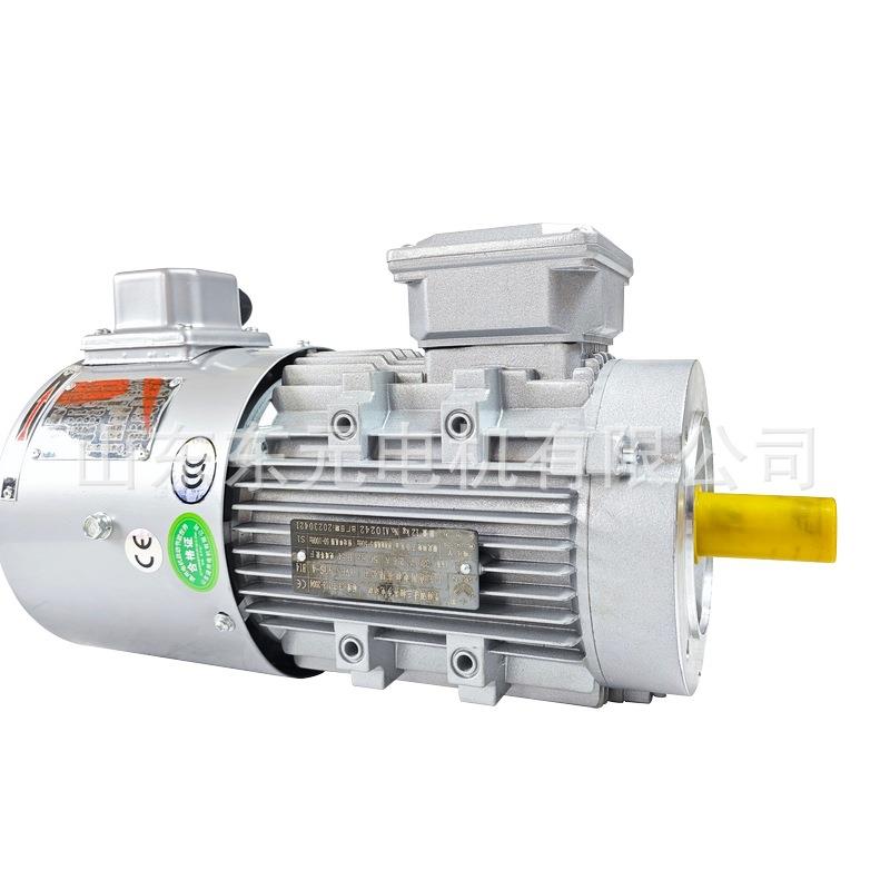YVP/YVF-100L1/L2-4极变频调速电机2.2W/3千瓦三相异步电动机