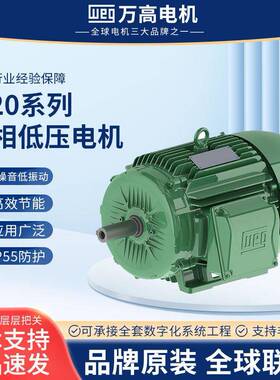 W20三相低压电机铝壳铸铁200L立式法兰马达高效变频电机