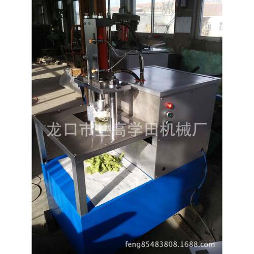 生产销售GF96-80A液压果脯切丁机切丁机