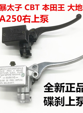 C0 风暴太子 大地鹰王0 前刹车泵 刹车上泵碟刹