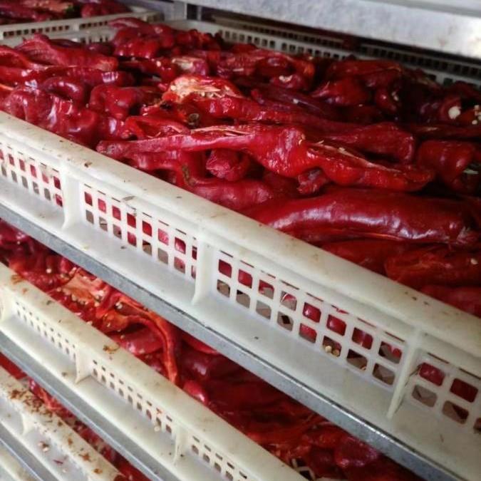 大型辣椒烘干机小米椒红辣椒烘干设备蔬菜水果干脱水除湿烘干箱