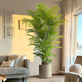 散尾葵假花仿真花摆设客厅高级仿生花装 饰室内大型盆栽假绿植