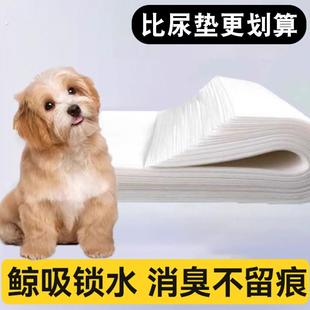 狗狗吸尿纸加厚除臭吸水垫宠物擦尿纸尿垫猫咪隔尿垫一次性吸水纸