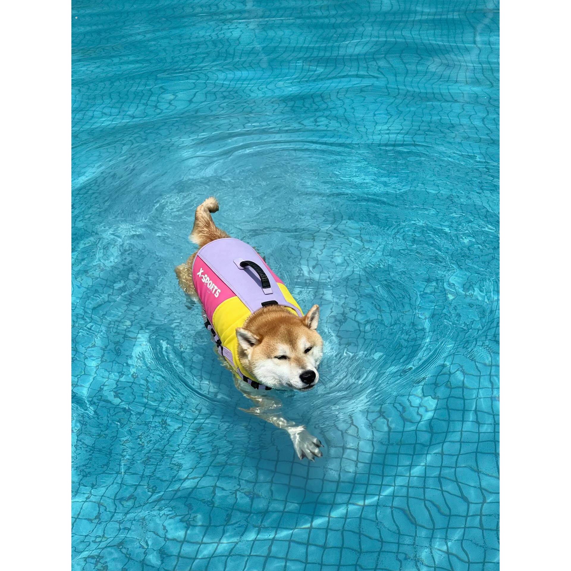 狗狗游泳衣宠物救生衣中小型犬夏季户外泳池海边可牵引手提浮力衣