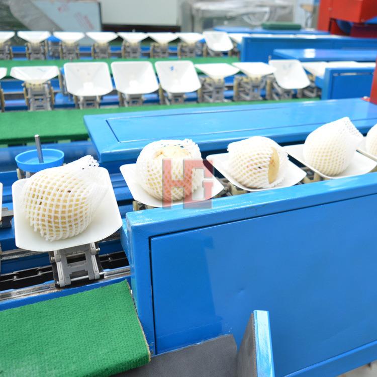定制翠冠梨选果机 自动化农场水果重量筛选机厂家
