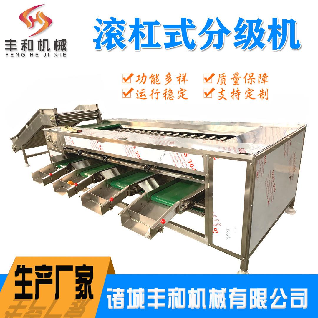 供应果蔬滚杠式分级机生产厂家 选果机果蔬分捡机杨桃黄桃分级机