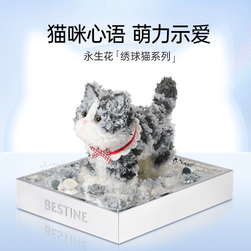 柏治廷永生花可爱小猫咪宠物橘猫送女友生日