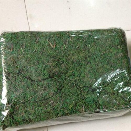 仿真青苔 人造苔藓青苔草仿真草坪青苔 盆景填装饰青苔石头