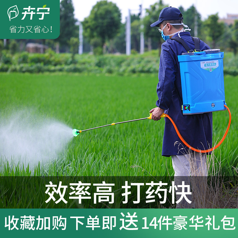 背负式电动喷雾器智能高压打农药机多功能农用果树机,鲜花速递/花卉仿真/绿植园艺,喷壶,淘宝优惠券,粉丝福利购,淘宝优惠卷