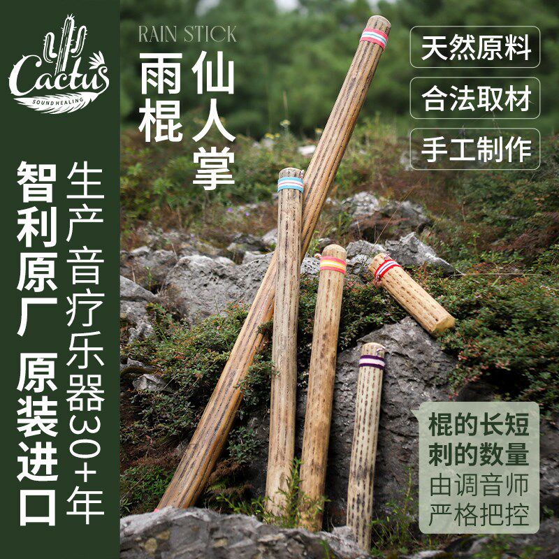 仙人掌雨棍智利民族乐器卡杜斯圆头手绘音疗声筒