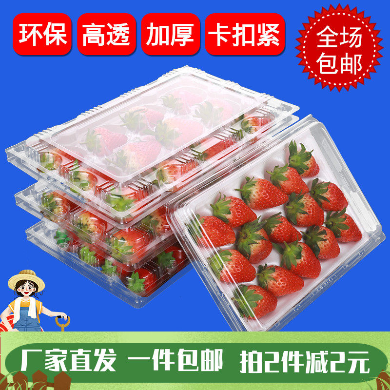 草莓果打包加厚盖鲜抗压盒保鲜一次性果盒泡沫