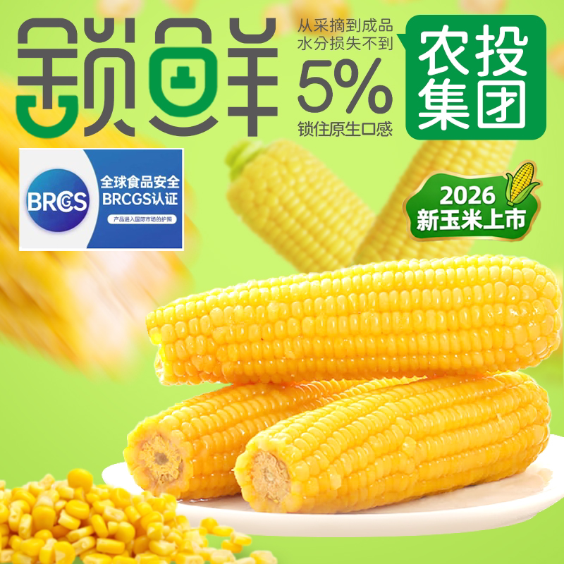 农投2026头茬黄糯玉米大棒真空装
