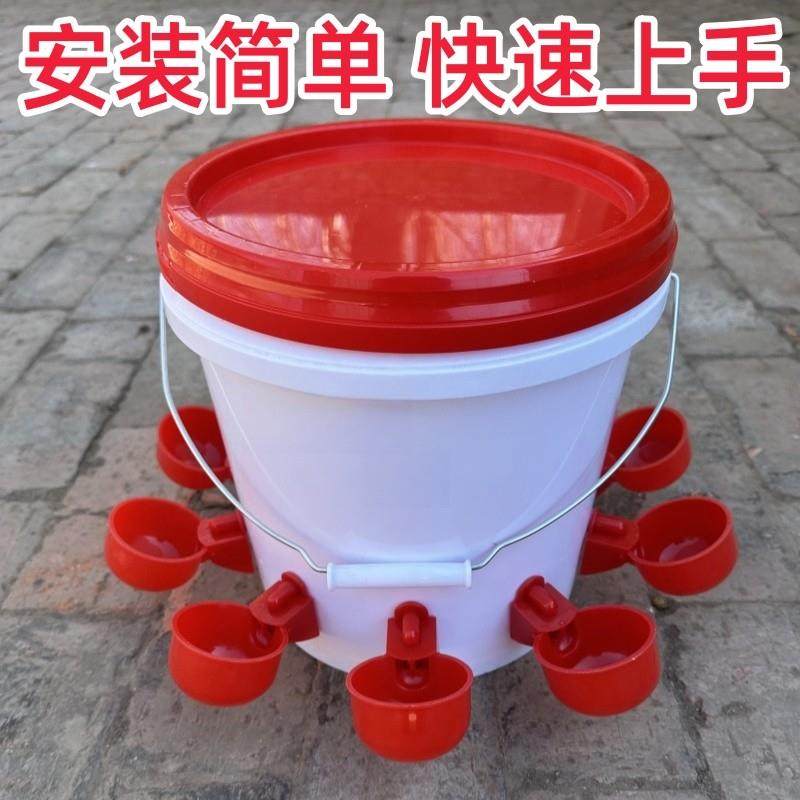 鸡鸭鹅饮水碗养殖用自动饮水器喂鸡懒人神器小鸡鸟家禽鸽子喝水壶,畜牧/养殖物资,畜牧/养殖器械,淘宝优惠券,粉丝福利购,淘宝优惠卷
