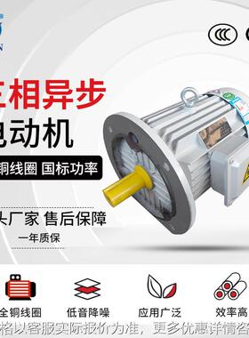 2极三相异步电动机 YE3-132S1/132S2-2电机 5.5W/7.5千瓦马达