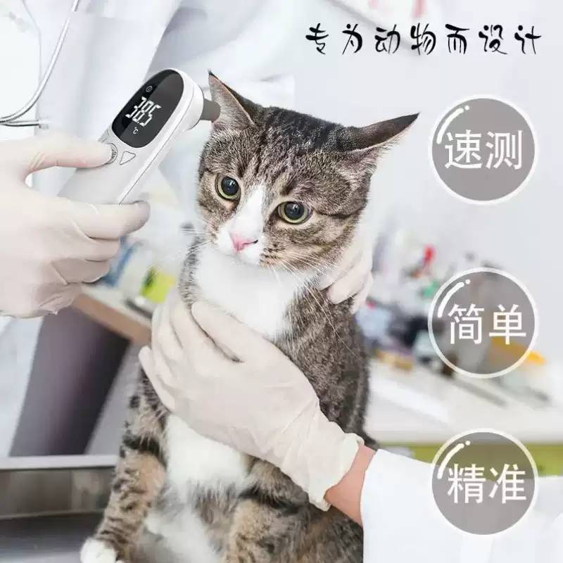 宠物专用电子耳温枪｜猫狗测温可