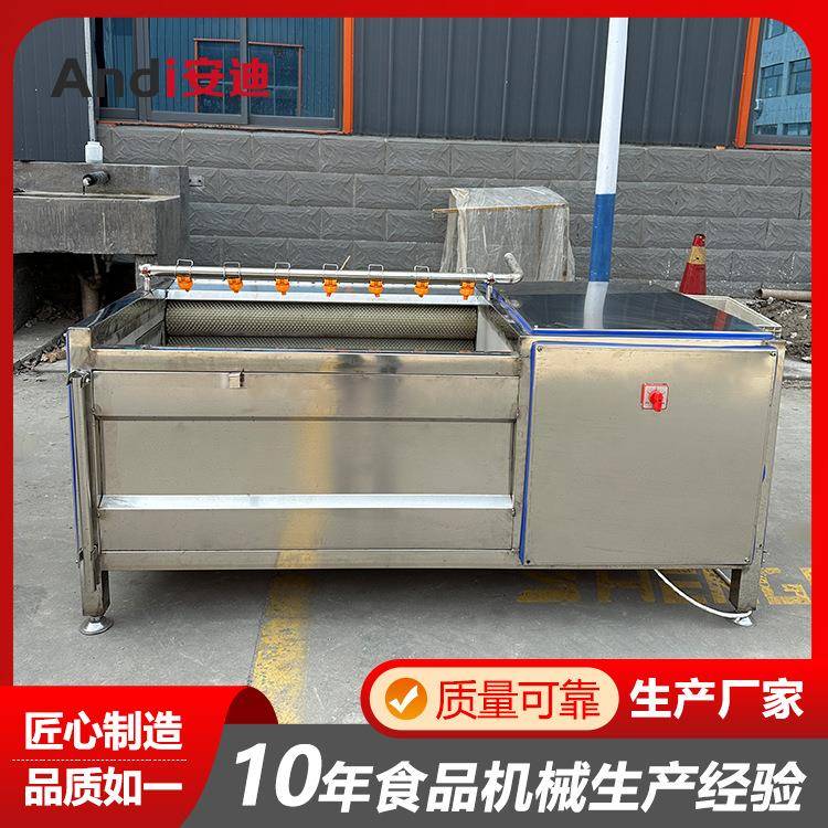 根茎类果蔬清洗去皮机土豆萝卜清洗去皮中药材地黄桔梗喷淋冲洗