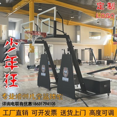 青少年儿童篮球架投篮球框可升降室内室外篮球架球框移动可扣篮