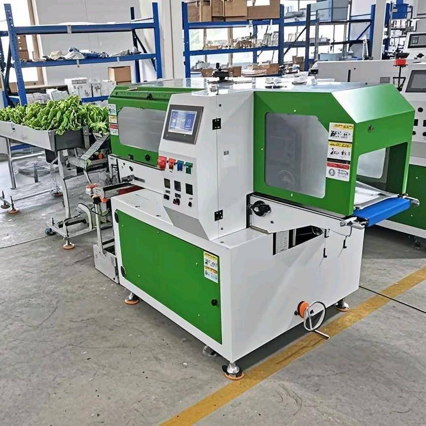 自动冷冻带鱼段枕式包装机速冻海鲜面食冷冻虾鱿鱼花多功能