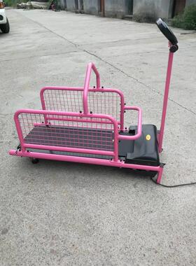 小宠训练宠物跑步机小狗跑步机动物跑步机宠物狗用品C100W
