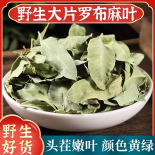 罗布麻叶中药材正品新疆罗布麻叶子罗布麻嫩叶罗布麻茶另售绞股蓝