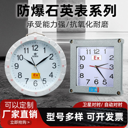 防爆钟电子钟防腐蚀卫星自动对时