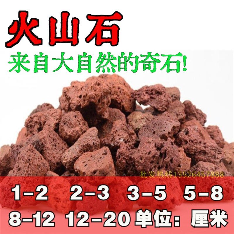天然火山石滤材池塘鱼缸培菌大号大块锦鲤鱼池过滤水族箱造景铺底,宠物/宠物食品及用品,过滤材料,淘宝优惠券,粉丝福利购,淘宝优惠卷