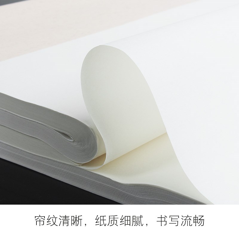 嘉州八大山人长卷宣纸特种生皮国展书法国画创作专用纸初学者儿童