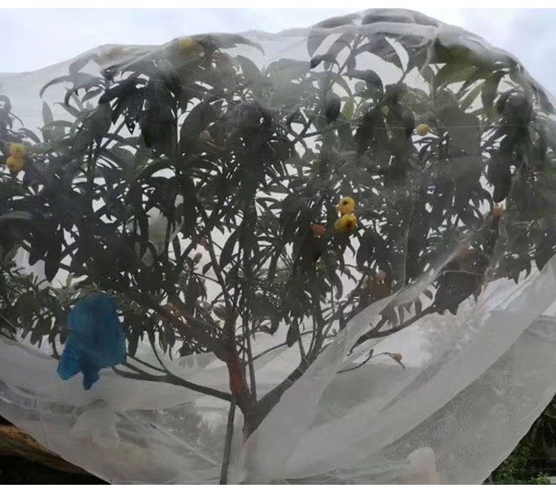 包邮杨梅 水果树罩 樱桃 蚊帐 防虫网 罗幔 防鸟网 防风网莲雾网,农机/农具/农膜,农用防虫网,淘宝优惠券,粉丝福利购,淘宝优惠卷