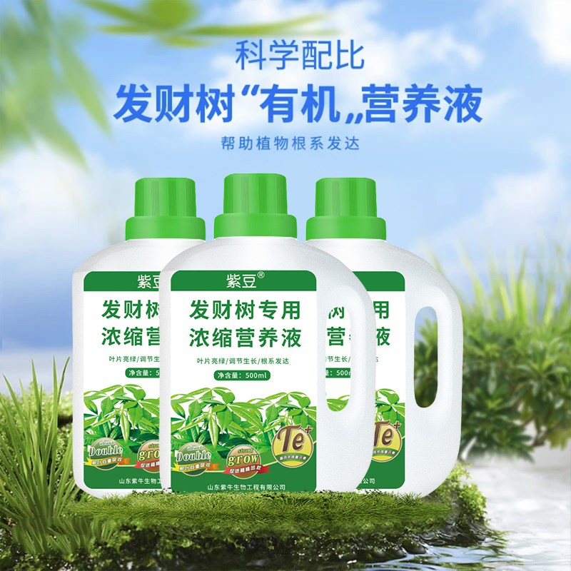 室内盆栽发财树专用营养液通用型水培发财树营养液叶子发黄掉叶