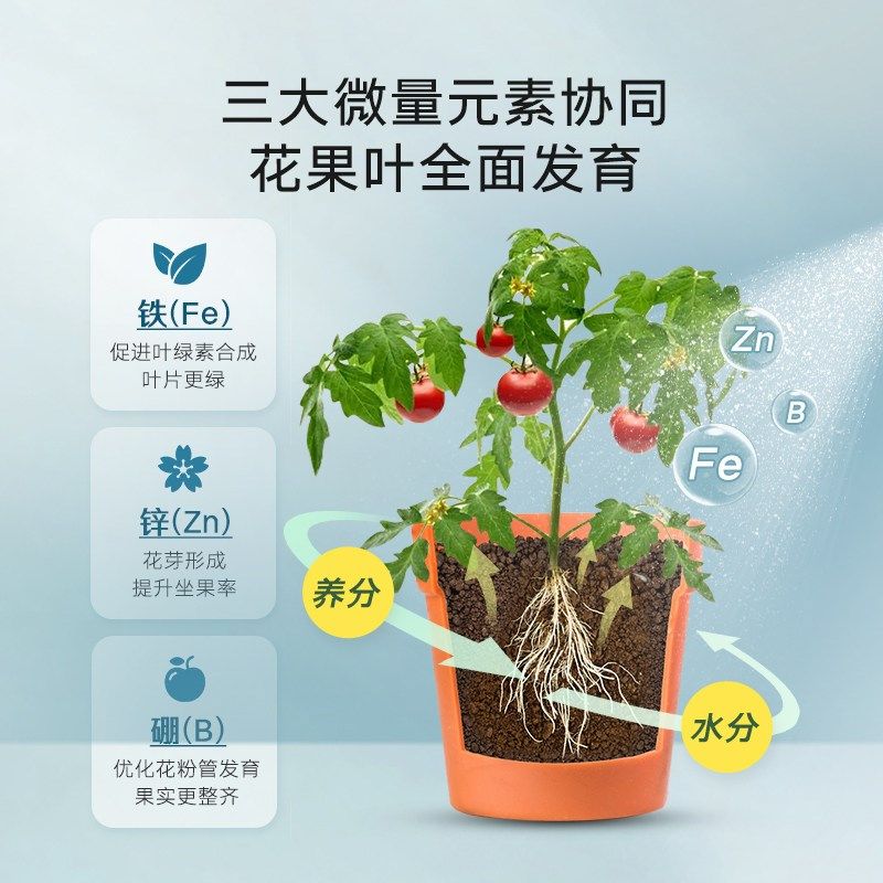 鱼蛋白水溶肥氨基酸叶面肥农用冲施肥桶肥生根剂瓜果蔬菜花卉通用,鲜花速递/花卉仿真/绿植园艺,家庭园艺肥料,淘宝优惠券,粉丝福利购,淘宝优惠卷