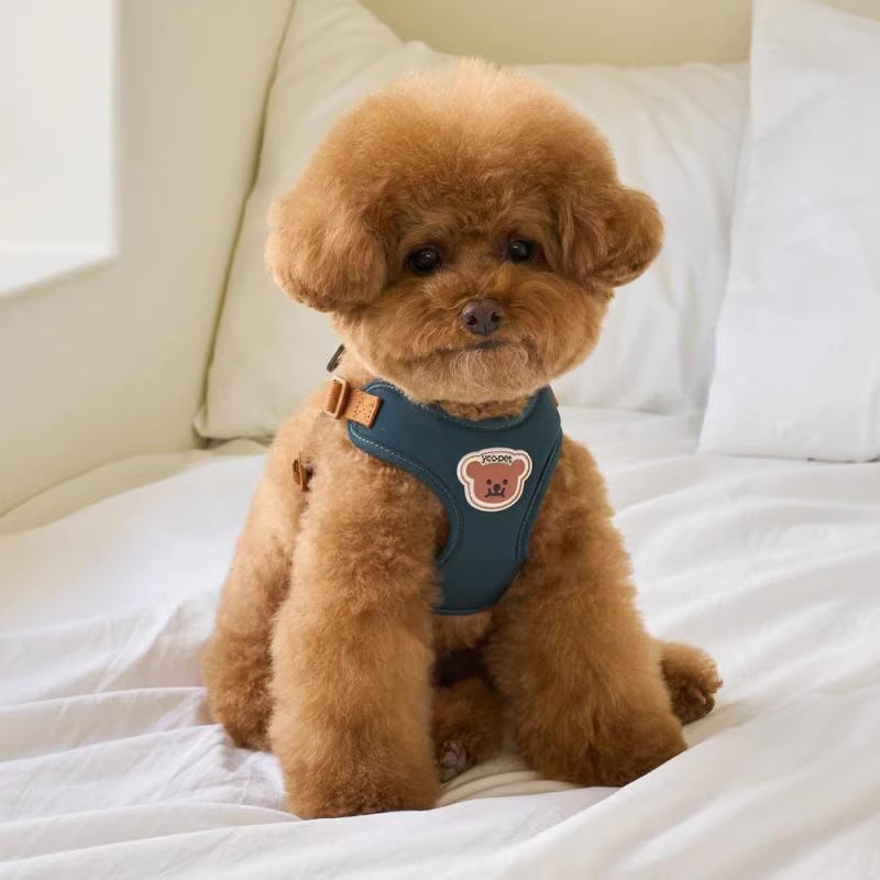 狗狗牵引绳小型犬遛狗绳背心式可爱小体比熊泰迪夏天背带式狗链子