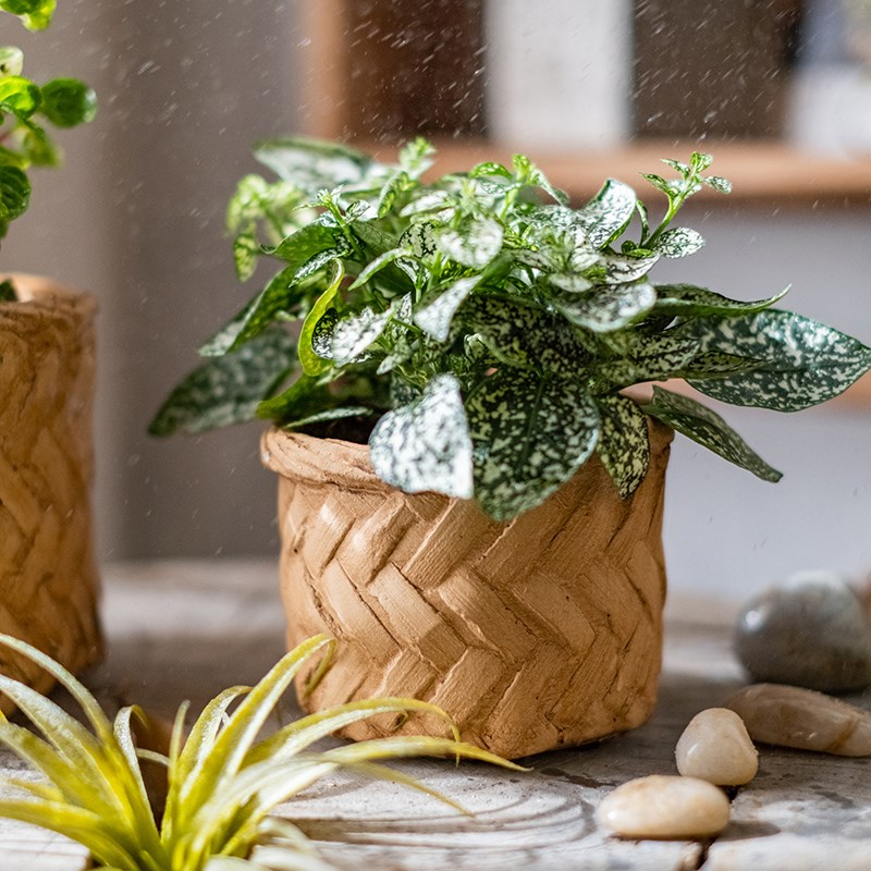 多肉花盆小号迷你小花盆水泥透气陶盆小盆栽家用阳台花园装饰花器