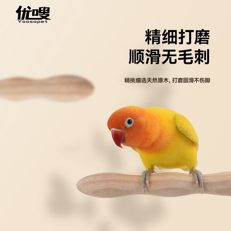 优嗖亚克力片鹦鹉站棍磨爪天然实木站台虎皮玄凤鸟用站杆鸟笼垫片,宠物/宠物食品及用品,鸟玩具,淘宝优惠券,粉丝福利购,淘宝优惠卷