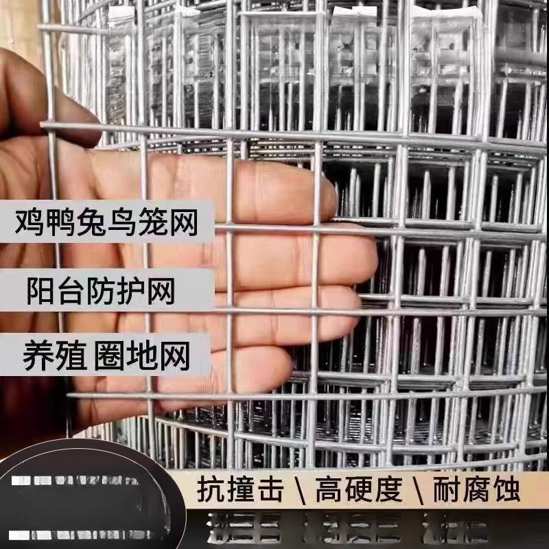 热镀锌铁丝网围栏网养殖网钢丝网拦鸡网建筑网防护网铁网格玉米网