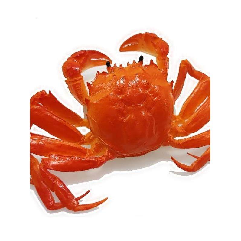 彷真大闸蟹模型梭子蟹海鲜螃蟹玩具摆件拍摄道具大号儿童认知礼物,玩具/童车/益智/积木/模型,仿真/动物玩偶,淘宝优惠券,粉丝福利购,淘宝优惠卷