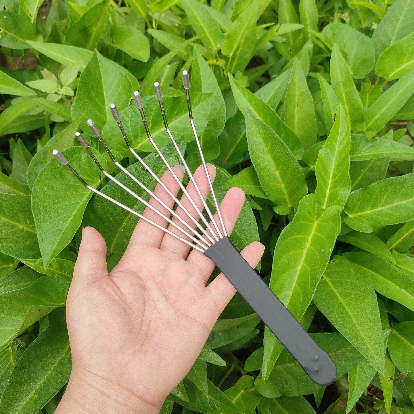 不锈钢七齿菜耙梳大棚青菜叶梳子扒梳菜叶子工具蔬菜耙子空芯菜梳