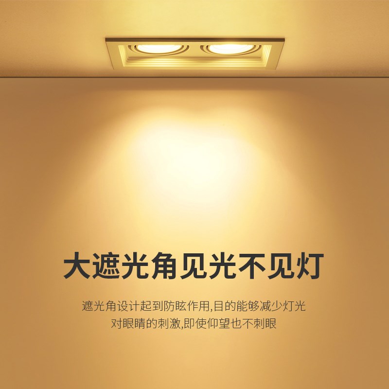 led格栅灯单双头方形筒灯网格葡萄架豆胆灯cob斗胆天花孔灯嵌入式