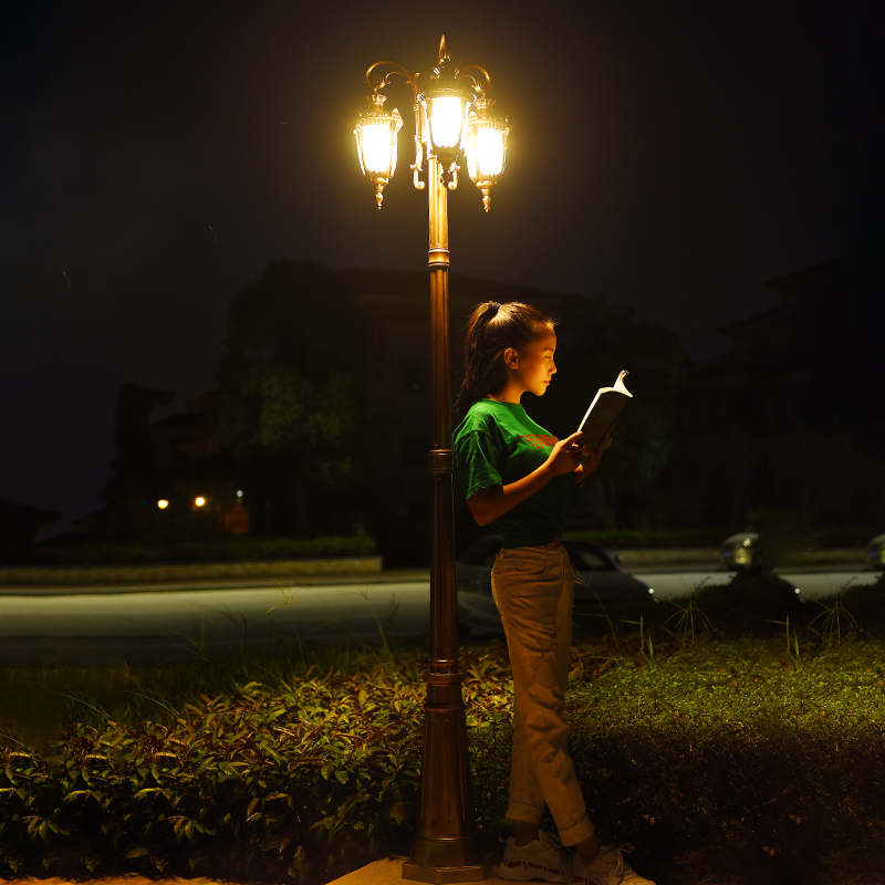 欧式庭院灯花园路灯室外小区防水led草坪灯3米超亮户外景观高杆灯