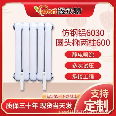6030圆头两柱铸铁壁挂式散热器家用水暖集中供热铸铁暖气片