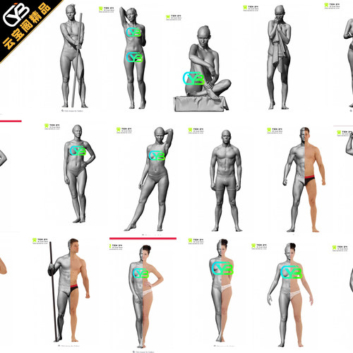 通用人体动态裸模zbrush绘画建模obj/ZTL高精度扫描人物模型+贴图