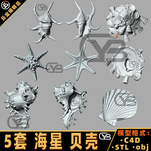 C4D海星贝壳扇贝海螺nomad犀牛Rhino建模海产生物3DMAX/3D模型STL