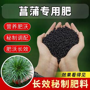 菖蒲专用肥盆栽景观苔藓山菖蒲肥料化肥复合肥有机肥颗粒缓释肥料