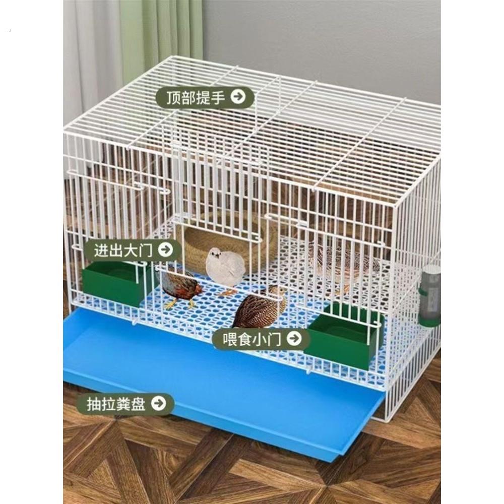 养芦丁鸡笼子饲养专用笼家用室内大号雏鸡雏鸭小鸭小鸡宠物笼加密