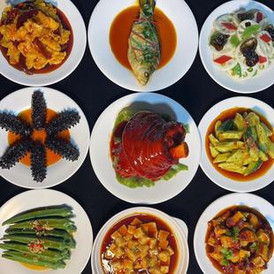 假菜拍段子样品菜模型拍照拍戏表演展示食品模型仿真菜菜品道具