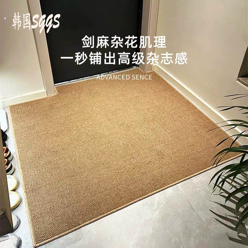 韩国入户门地垫仿剑麻玄关地毯进门大门口家用新款门垫脚垫可裁剪