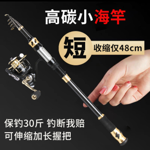 小海杆小抛竿短节东钓主迷你小海竿可携式 迷你甩杆钓鲫鱼小爆炸竿