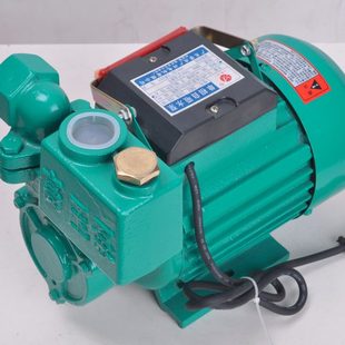 加压水泵750W 100%铜芯IZDB自吸泵 增压泵 家用抽水泵 循环水泵